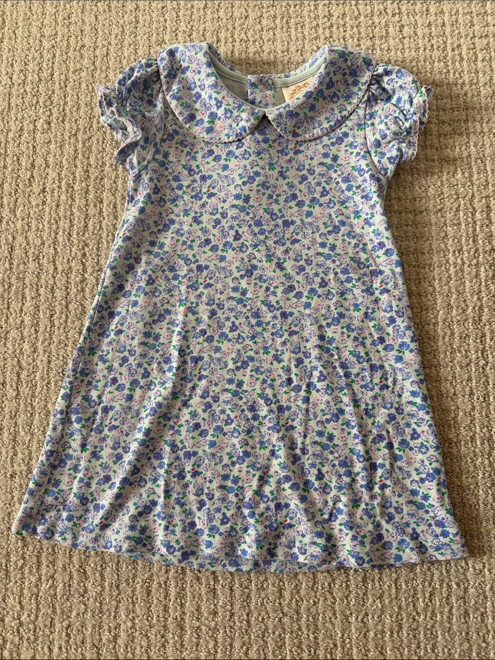 The Beaufort Bonnet Company Blue & Purple Floral Peter Collar Dress
